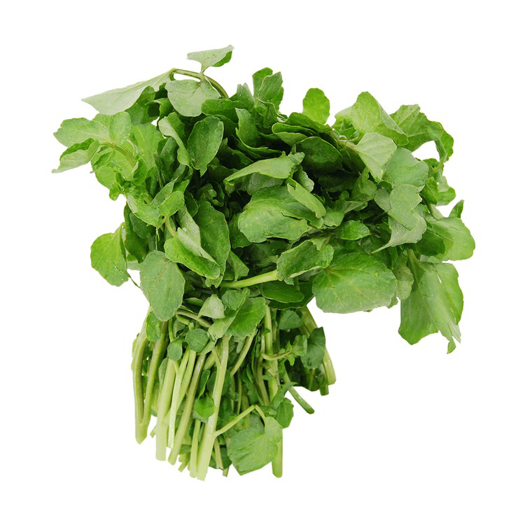 Fresh Watercress 2pc - Brandco Direct Inc