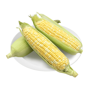 Sweet Corns 5pc - Brandco Direct Inc