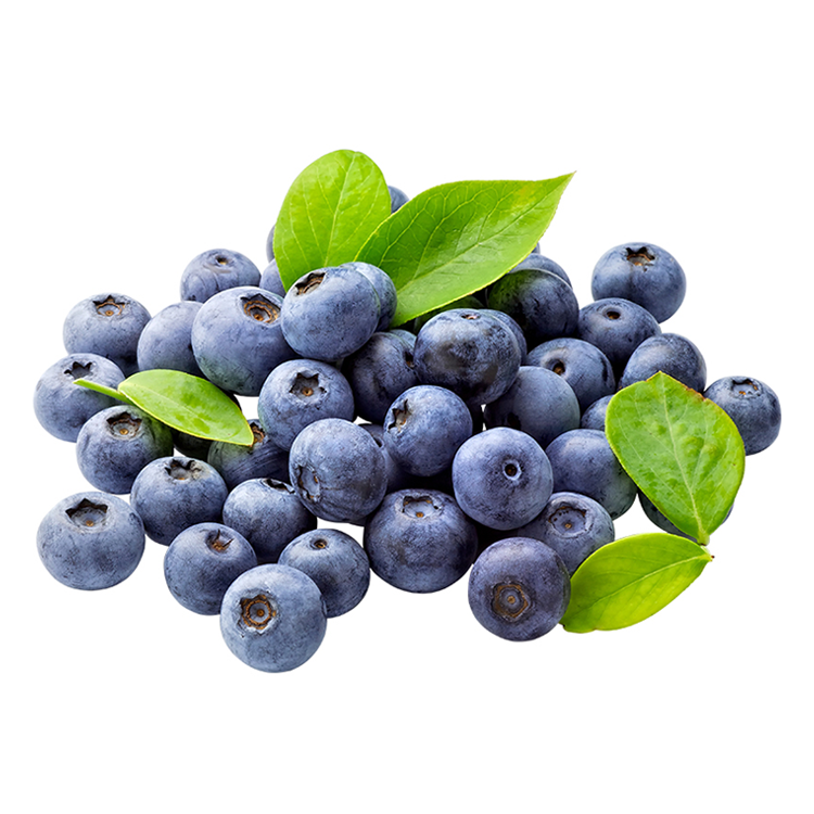 Blueberry - 1 Large Pack