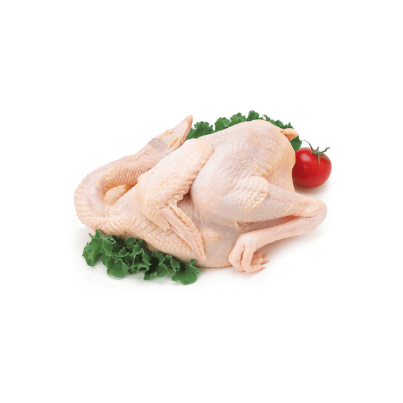 Fresh Longkong Chicken XL - Brandco Direct Inc