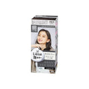Kao Liese Preetia Hair Bubble - Brandco Direct Inc