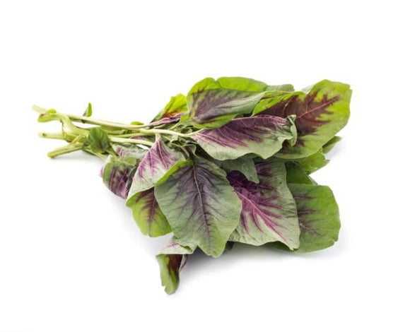 Red Amaranthus (1lb) - Brandco Direct Inc