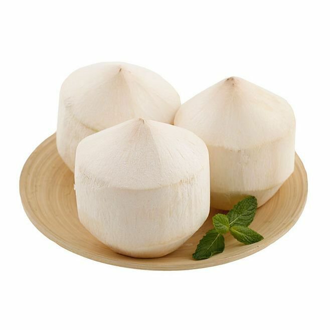 Young Coconut 1pc - Brandco Direct Inc